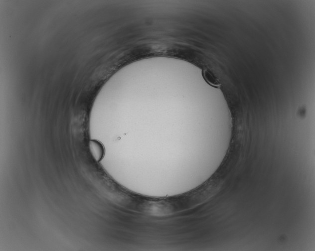 X0000116620275200912312145