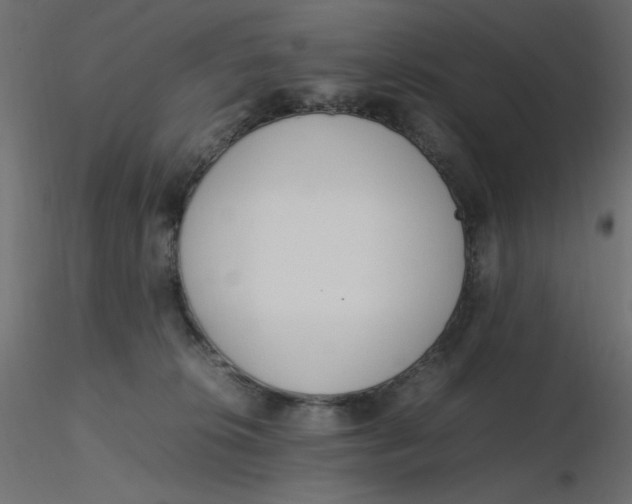 X0000116620276200912312145