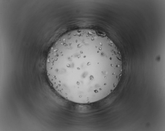 X0000116620277200912312145