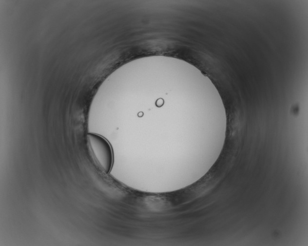 X0000116620279200912312145