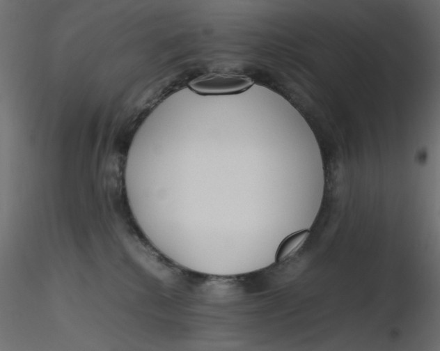 X0000116620280200912312145