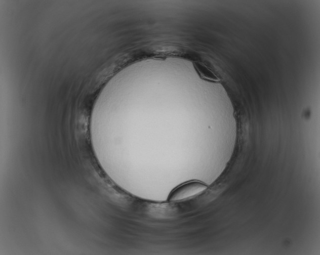 X0000116620281200912312145