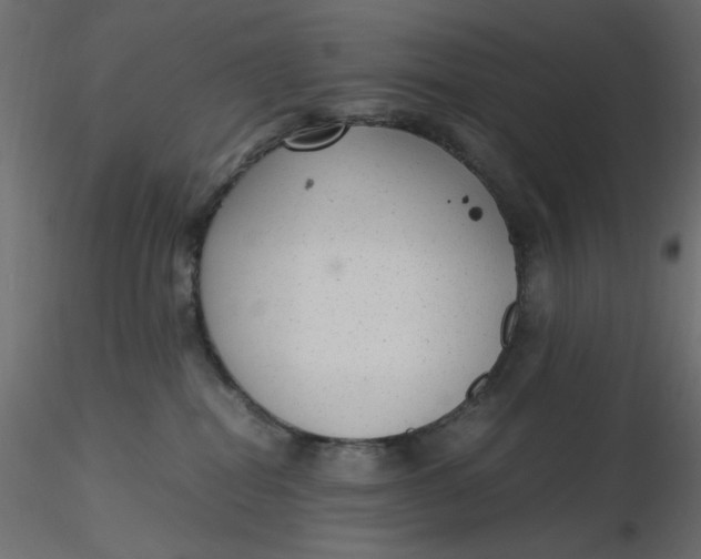 X0000116620282200912312145