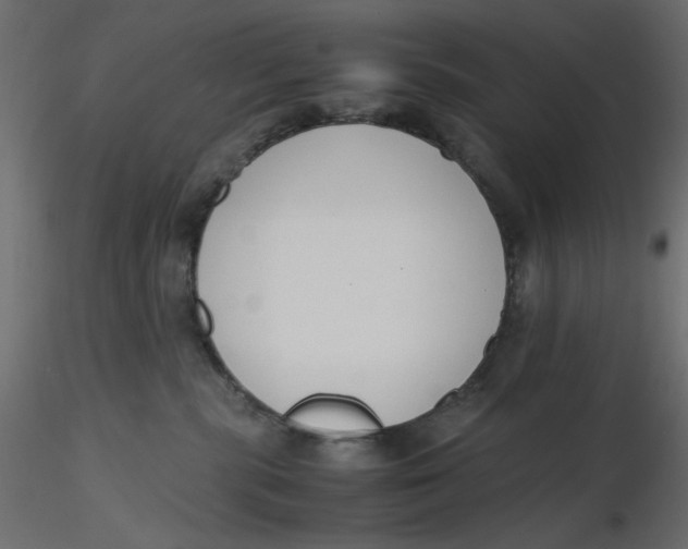 X0000116620283200912312145