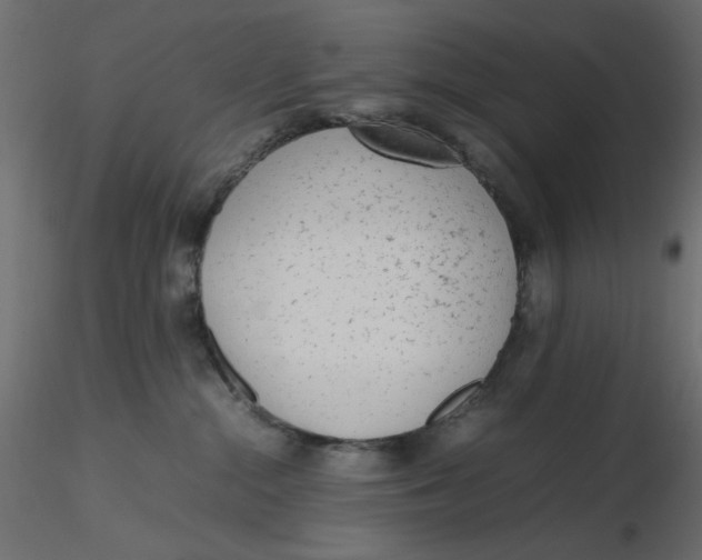 X0000116620284200912312145