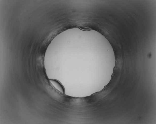 X0000116620286200912312145