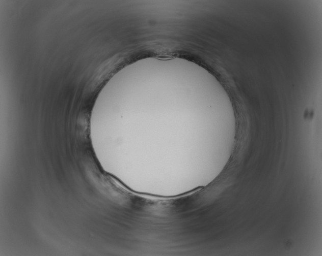 X0000116620288200912312145