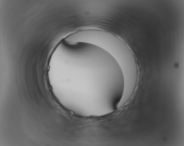 X0000116620289200912312144