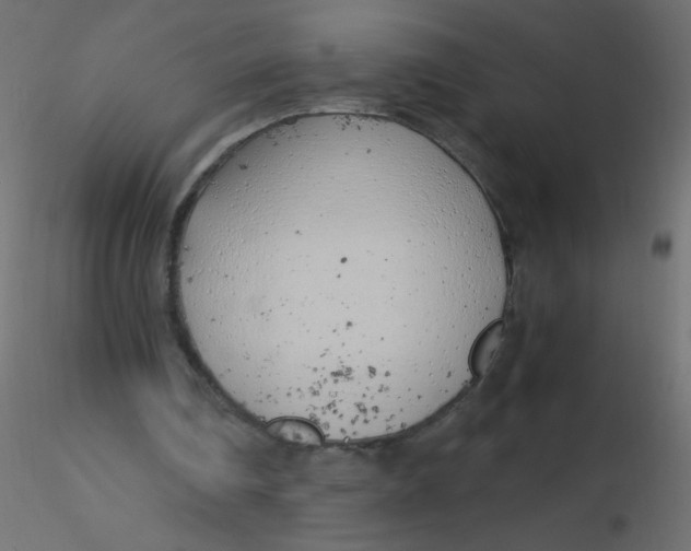 X0000116620290200912312144