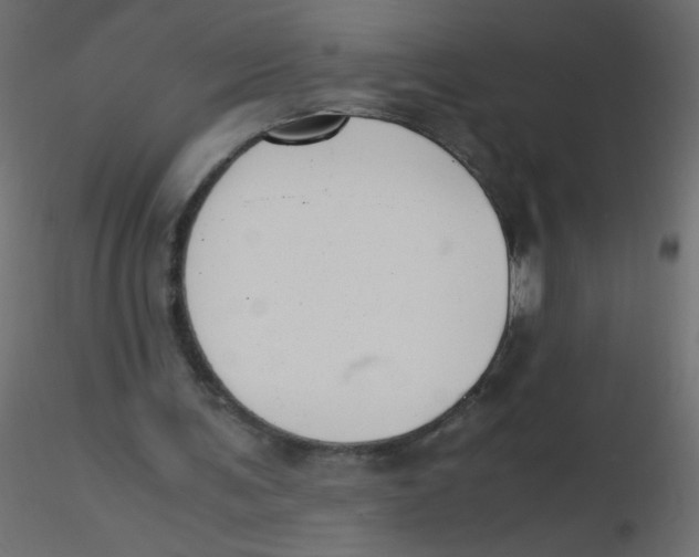 X0000116620291200912312144