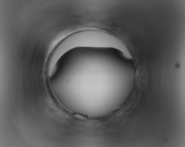 X0000116620292200912312144