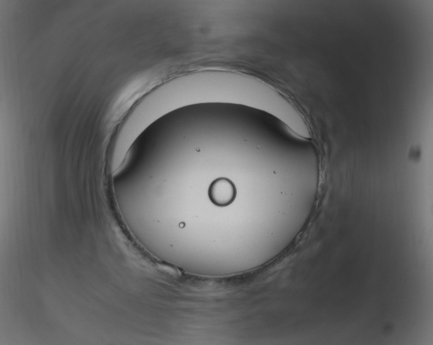 X0000116620293200912312144