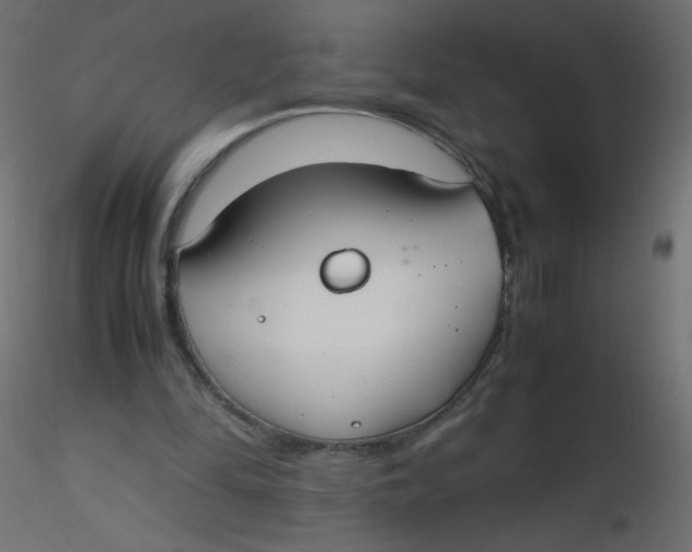 X0000116620294200912312144