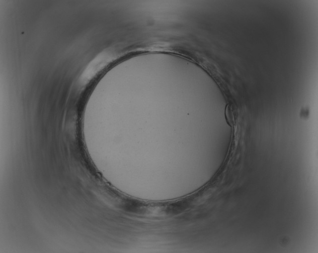 X0000116620295200912312144