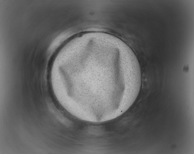 X0000116620296200912312144