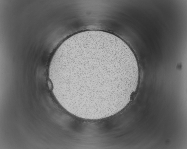 X0000116620297200912312144