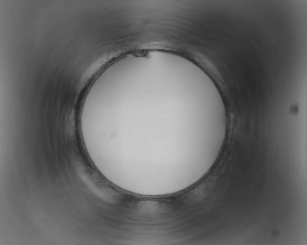 X0000116620298200912312144