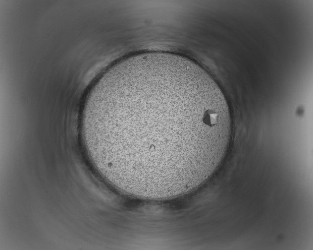 X0000116620299200912312144