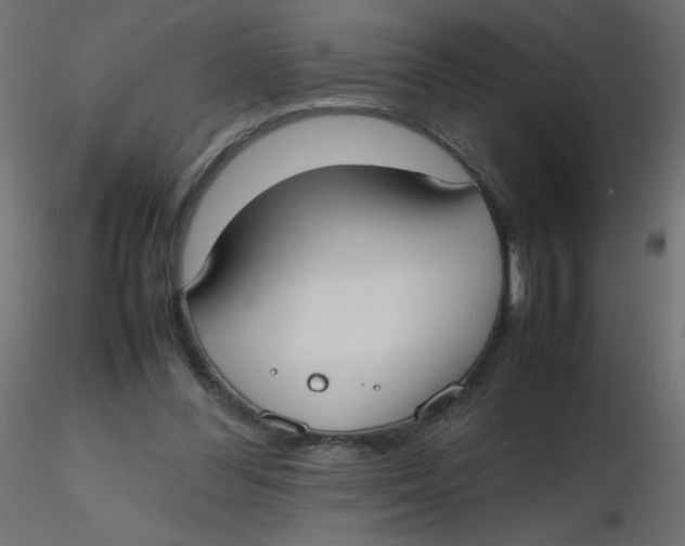 X0000116620300200912312144