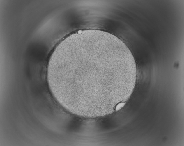 X0000116620301200912312144