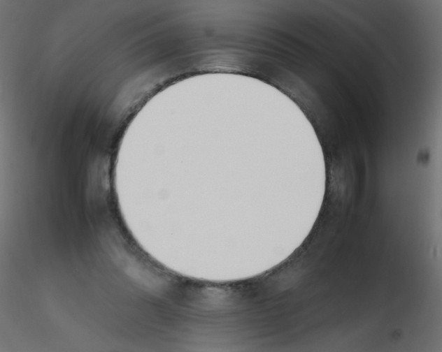 X0000116620302200912312144