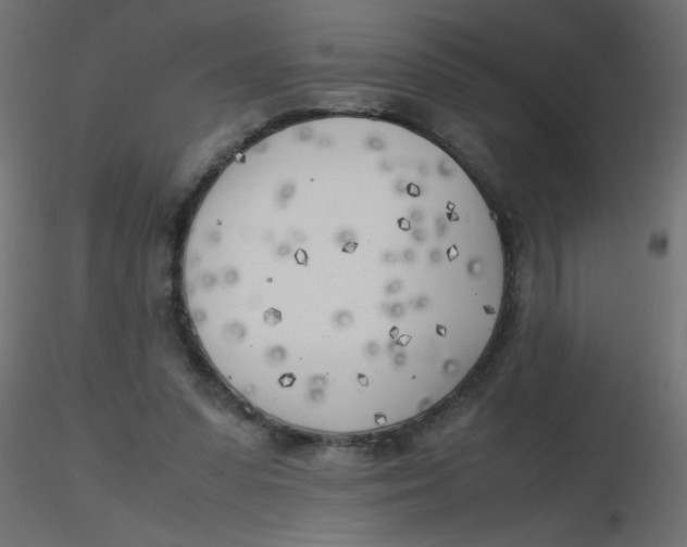 X0000116620303200912312144