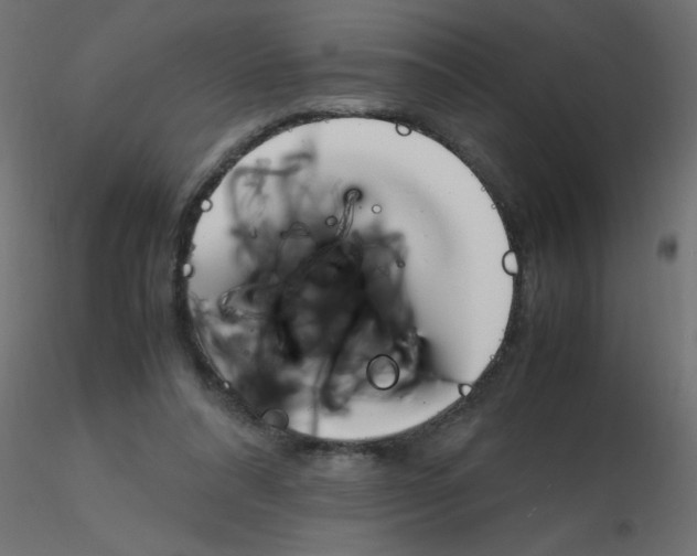 X0000116620304200912312144