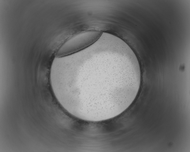 X0000116620305200912312144