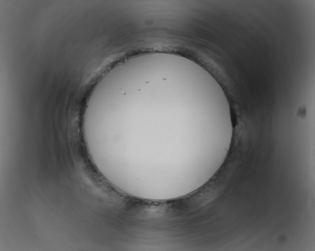 X0000116620306200912312144