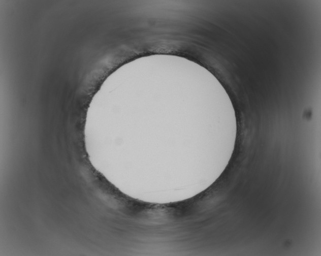 X0000116620307200912312144