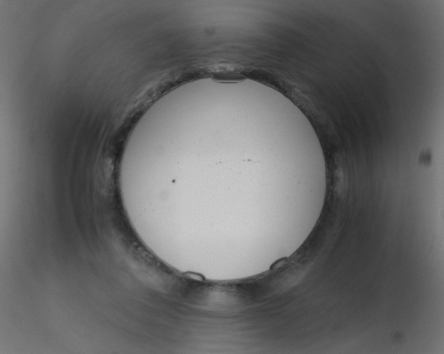 X0000116620308200912312144