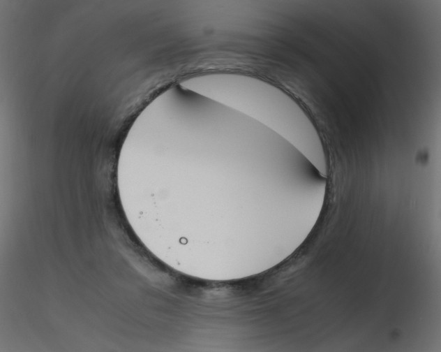 X0000116620309200912312144