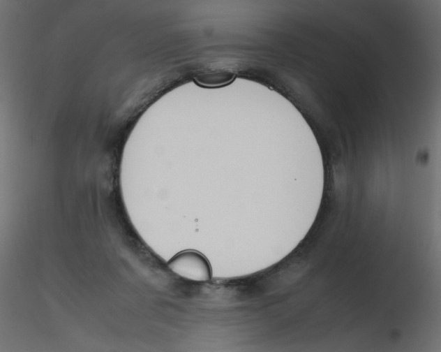 X0000116620311200912312144