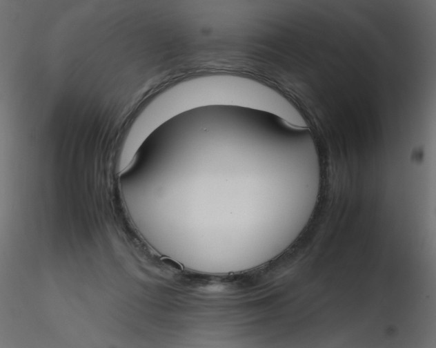 X0000116620312200912312144