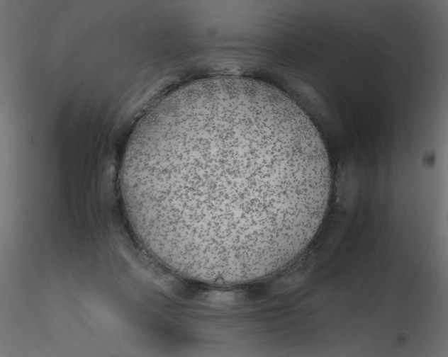 X0000116620314200912312144