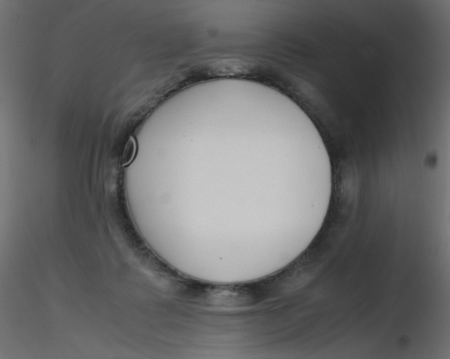 X0000116620315200912312144