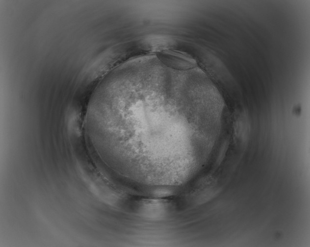 X0000116620316200912312144