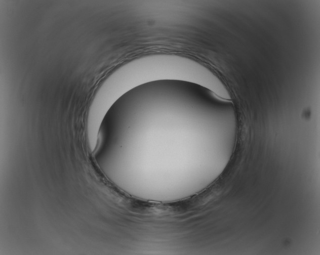 X0000116620317200912312144