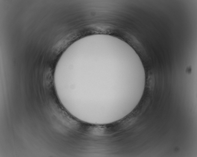 X0000116620318200912312144