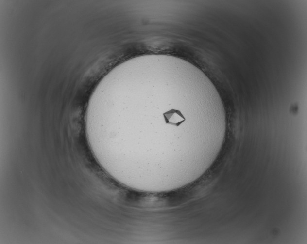 X0000116620319200912312144