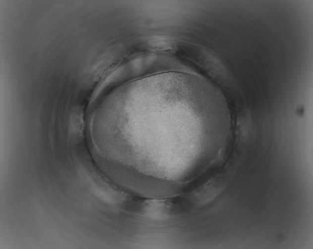 X0000116620320200912312144