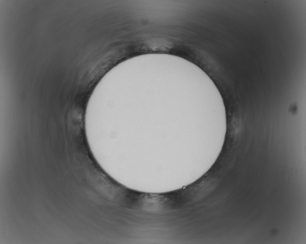 X0000116620321200912312144