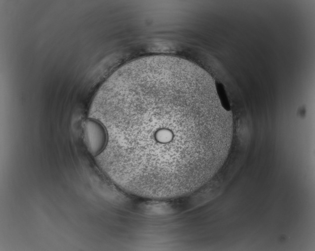 X0000116620322200912312144