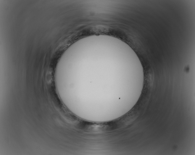 X0000116620323200912312144