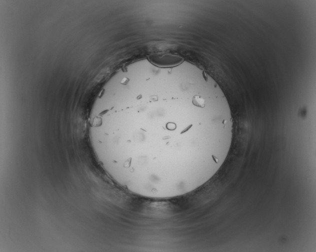 X0000116620324200912312144