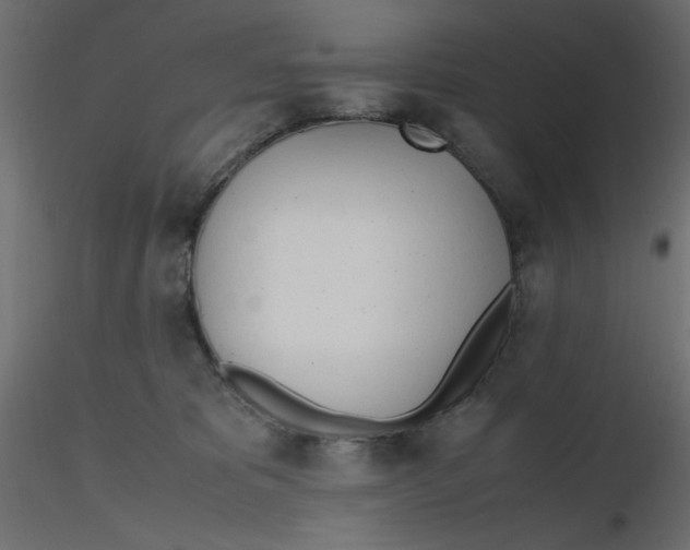 X0000116620325200912312144