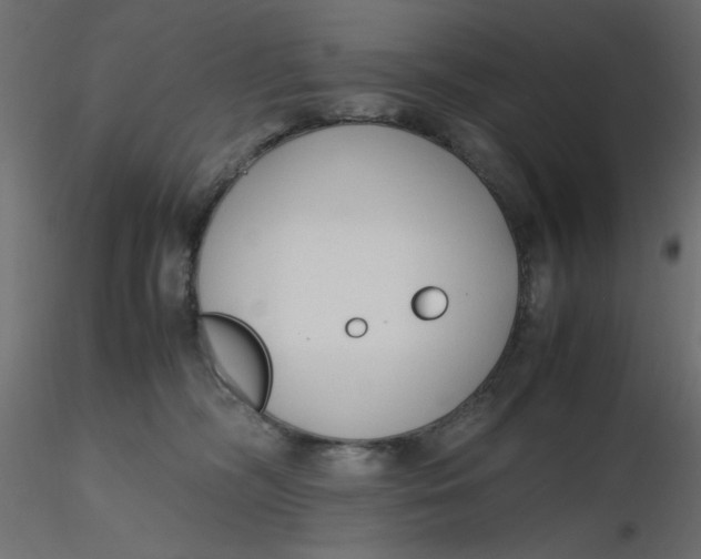 X0000116620326200912312144