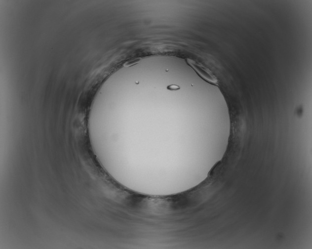 X0000116620327200912312144