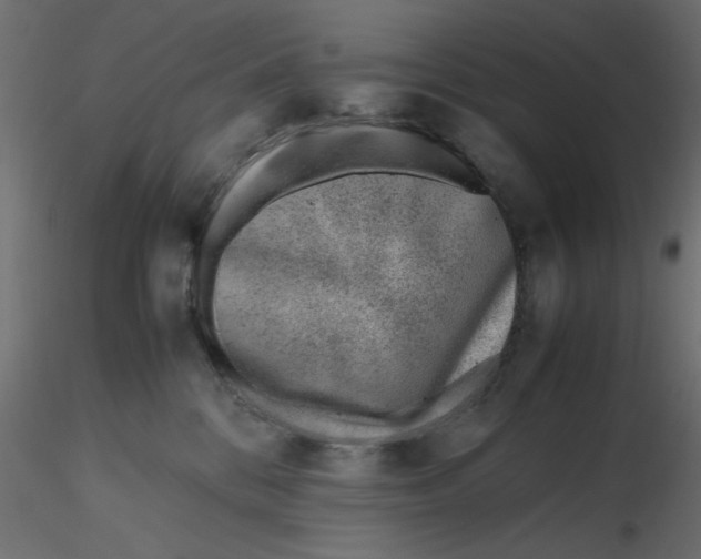 X0000116620328200912312144