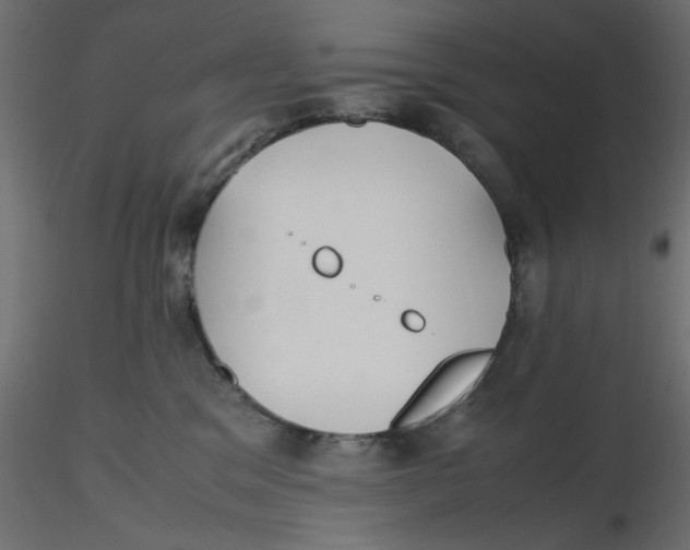 X0000116620329200912312144